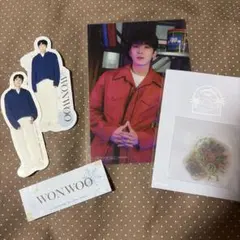 SEVENTEEN ウォヌ グッズ セット