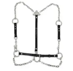 ぺろすけVivienne Westwood ハーネス L 新品 2026年最新】viviennewestwoodハーネスの人気アイテム - メルカリ