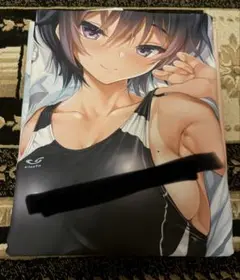 【正規品】競泳水着抱枕カバー　クレスタ　C96 呉マサヒロ