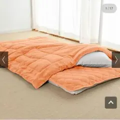 【ディノス限定】ヒートループハイパー掛け+敷きセット シングル