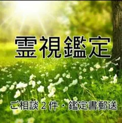 くぅ様専用　じっくり霊視鑑定　ご相談2件