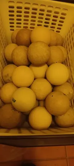 ソフトテニス ボール 中古 137球セット ソフトテニス ボール 中古 137球セット