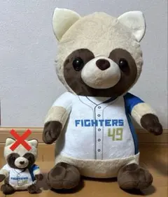 【特賞　大塚選手 タヌキ】大塚 瑠晏　エスコン 動物ぬいぐるみくじ　ファイターズ
