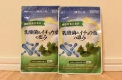 和漢の森 乳酸菌＆イチョウ葉の恵み - メルカリ