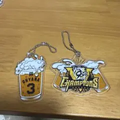 阪神甲子園球場「呑んで！もらおう！乾杯キャンペーン２０２５」優勝記念、大山セット