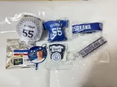 Item thumbnail for item 33397317-0554-419c-bc5c-13914a950a42