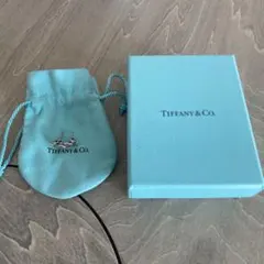 新品 ティファニー 空箱 巾着 紙袋 10セット 国内現行品 チャーム 1個