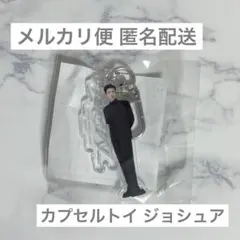 SEVENTEEN カプセルトイ ジョシュア