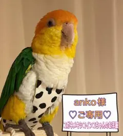 Item thumbnail for item 32431fef-9f96-4423-b7cf-58907b2960f0