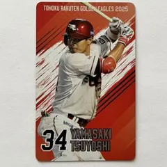 Item thumbnail for item a4714e4b-ec0e-4ce8-9ba9-3ecf59c6ba20