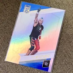 ハルク・ホーガン トレーディングカード WWE N - メルカリ
