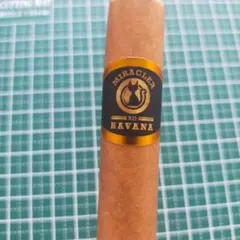 Item thumbnail for item 5b67d07a-02a0-4bed-8680-45ed0f944932