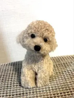 羊毛フェルトのトイプードル*.゜。クリーム アプリコット - メルカリ