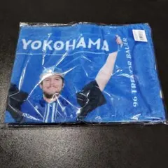 Item thumbnail for item ddacb12d-f2bd-4f87-aaf5-6babe89237ba