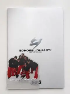 ECHOES of DUALITY DVD+グッズ - メルカリ