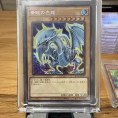 遊戯王 青眼の白龍 QCAC-JP021
