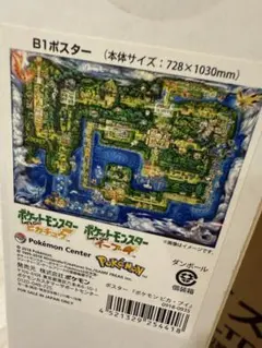 ポケモン レッツゴー ピカチュウ イーブイ カントー ポスター ピカブイ 