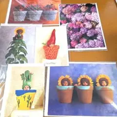 Anne Geddes グリーティングカード 6枚セット