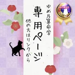 fanfanさま専用ページ　～他の方はリンクからどうぞ～　独学　鑑定　本　占い