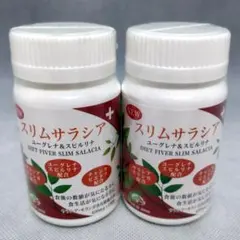 2025年最新】エコロインターナショナルの人気アイテム - メルカリ