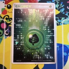 ポケモンカード　基本草エネルギー　キラ　マグマ　アクア　adv ②