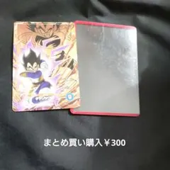 SDV8-DPUR2【PUR】【ベジータ】