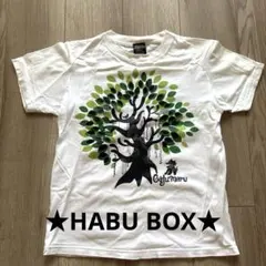 コットンTシャツのサムネイル