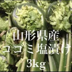 令和 8年度 わらび塩漬け 【太め、極太】 4kg 青森県産 - メルカリ