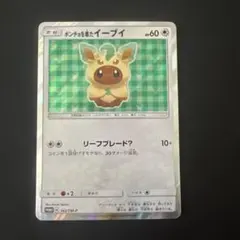 2026年最新】ポンチョを着たイーブイ psa10 リーフィアの人気アイテム