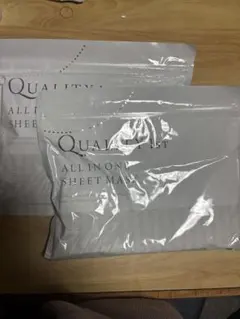 Item thumbnail for item 2d787eb6-0cf2-4cd4-8b54-db5b3e5f8284