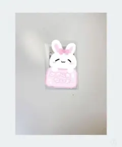 てるとくん チェキ サイン入り Knight A 騎士a