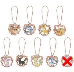 ブイズ　アクセサリーチャーム　セミコンプリート