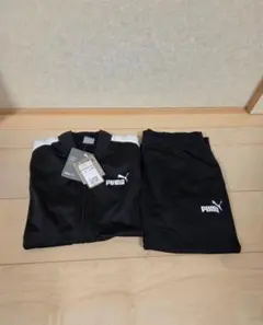 新品 PUMA プーマ 上下セット ジャージ スウェット レディース Sサイズ