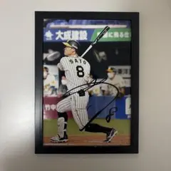 阪神タイガース 藤川球児 直筆サイン入り フォトパネル 99枚限定 阪神タイガース 藤川球児 直筆サイン入りフォトパネル 99枚限定 - メルカリ