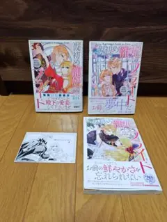 仮初め寵妃のプライド 全3巻セット イラストカード付き