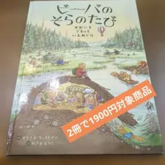ビーバのそらのたび せかいをぐるっといえめぐり nk42