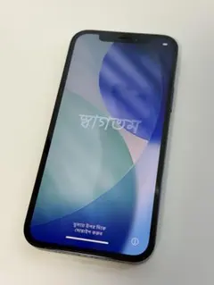 【美品】Apple iPhone 12 Pro パシフィックブルー　512gb