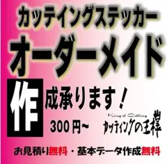 オーダーメイドカッティングステッカー作成　カー　車　専用車　313