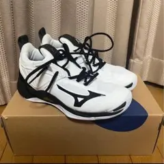 Item thumbnail for item 816bccbe-06c2-4c3e-99e6-540a817109aa