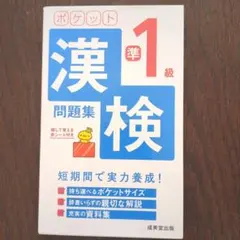 口袋漢檢準1級問題集