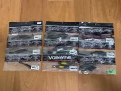 Valleyhill Guide Pride JACO-BEE ワームセットのサムネイル