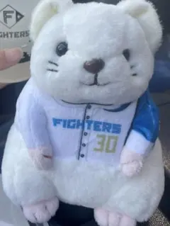 Item thumbnail for item a2927793-90ff-45df-9b52-34242e93913b