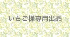 ⑯ いちご様専用出品