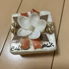 シェル装飾 小物入れ ジュエリーボックス