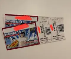 ナガシマスパーランド ジャンボ海水プール 特別入場券 6枚セット