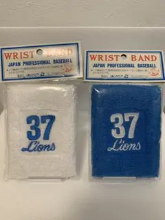 Item thumbnail for item b6980e55-2370-4503-98d1-f570d4f53344