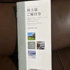 東急不動産ホールディングス500株未満