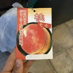 いーぐる様確認用（違う商品が届きました）
