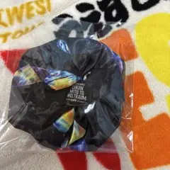 ゼンジン シュシュ