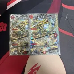 R.S.F.K. / オールイン・チャージャー 2枚セット　銀トレジャー
